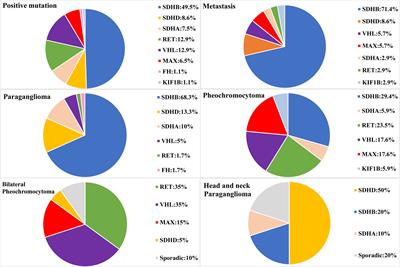 Genetic and Clinical Profiles of Pheochromocytoma and Paraganglioma: A Single Center Study